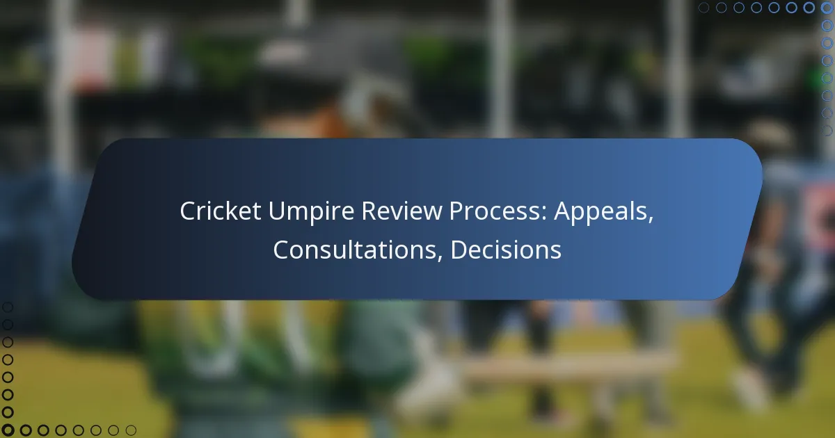 Cricket Umpire Review Process: Appeals, Consultations, Decisions