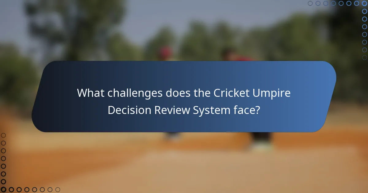 What challenges does the Cricket Umpire Decision Review System face?